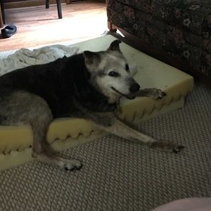 Meet your Posher, Jason